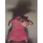 TRASH Kitty
