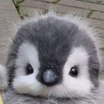 Evanlovespenguin