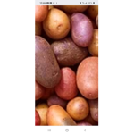 potato teem