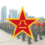 [OPA]南阳解放军