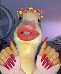 Nicole's server
