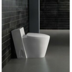 Modern Toilets