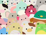 Olli's Squishmallows!