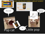 The bloxy family group