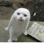 tinkyinky