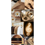 - Teddy Aesthetics -