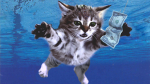 jojo group -