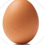 Random egg yt