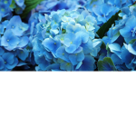 hi please follow me go to follow if you want rubox