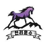 천리 운수