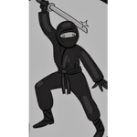 Ninjacam676