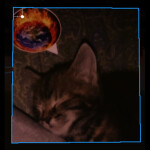 Rockzzsaken [ALPHA RELEASE]