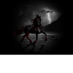 Horse fanssssss