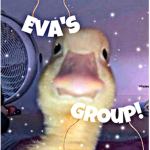 Eva’s Group :D