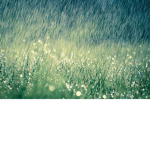 raindr0p
