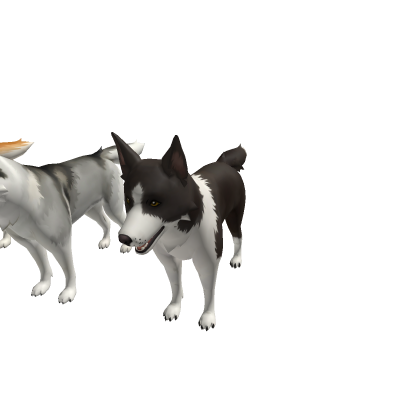 Dog Genshin Impact