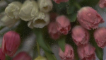 Maria’s group ¡Thank you!