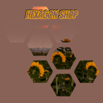 hexagon shop:)