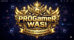 PROGAMERWASI