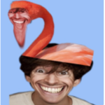 Flamingo fan Club join the group if you like him!!