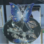 sally's fairies