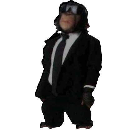 the monkey