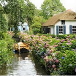🍓