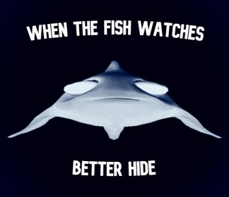 THE EPIC OF THE FISH [EARLY ACCESS]