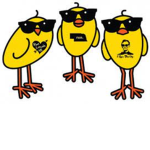 very.cool.peeps