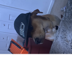 Skittles4lifemommy