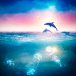 Stars of the Sea