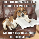 Animal rescue club