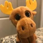 jeff is a moose