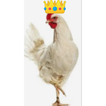 Chickenxxx_chickenforevers
