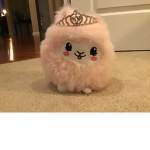 Kittys aesthetic group<3