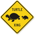 Turtle Kings Here