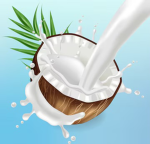 Coco-nut shop