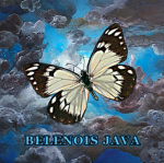 Belenois java Group