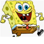The dish Sponges