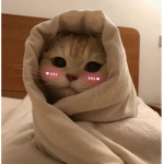 koko <33