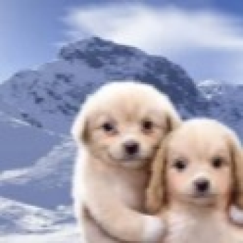 the fog rooms -devrel submission 