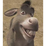 DONKEYZ