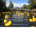 duckyyyyy group