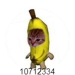 Banana Cat :)