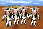 Fans/Close Friends