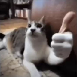 die