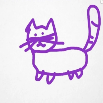 cat drawing