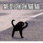 氣到咪瞇貓貓