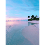 tropical ###########