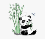 The Panda Clothing group